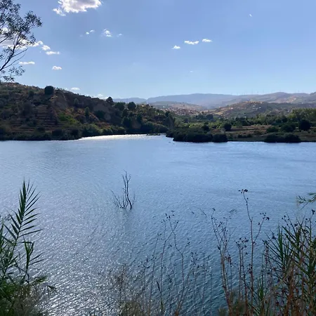 La Calma Y La Caravana * Melegis